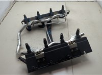 MJY000060, MJY000040 Форсунка топливная Land Rover Range Rover 3 (LM) 2002-2012 20502582 #5