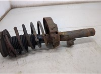 5202JT, 5002Y7 Амортизатор подвески Peugeot Partner 2002-2008 20502960 #1