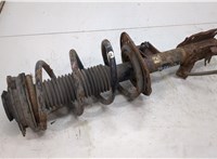 E4303JG71A, 54010JG70D Амортизатор подвески Nissan X-Trail (T31) 2007-2015 20503039 #1