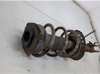 E4302JG71A, 54010JG70D Амортизатор подвески Nissan X-Trail (T31) 2007-2015 20503087 #2