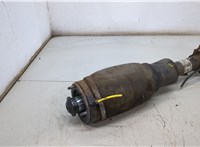  Амортизатор подвески Land Rover Range Rover 3 (LM) 2002-2012 20503239 #3