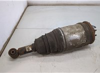 RPD500880 Амортизатор подвески Land Rover Discovery 3 2004-2009 20503246 #1