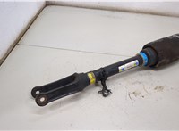 A1643206113 Амортизатор подвески Mercedes GL X164 2006-2012 20504018 #3