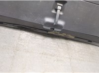  Петля заднего стекла Ford Expedition 2002-2006 11447161 #2