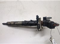  Форсунка топливная Volkswagen Passat CC 2008-2012 20504656 #1