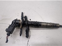  Форсунка топливная Volkswagen Passat CC 2008-2012 20504657 #1