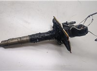  Форсунка топливная Volkswagen Passat CC 2008-2012 20504660 #1