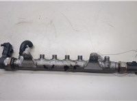  Рампа (рейка) топливная Volkswagen Passat CC 2008-2012 20504661 #1