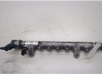  Рампа (рейка) топливная Volkswagen Passat CC 2008-2012 20504661 #4