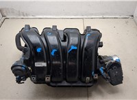  Коллектор впускной KIA Optima 3 2010-2015 20504717 #12