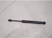 51237210727 Амортизатор капота BMW X3 F25 2010-2017 20504791 #1
