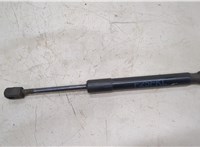51237210727 Амортизатор капота BMW X3 F25 2010-2017 20504796 #1