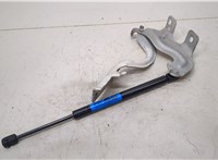 654011AA9A Петля капота Nissan Murano 2008-2015 20504878 #1