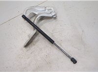 654011AA9A Петля капота Nissan Murano 2008-2015 20504878 #2