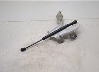 654011AA9A Петля капота Nissan Murano 2008-2015 20504878 #3