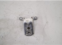 824214P00A Петля двери Nissan Murano 2008-2015 20504881 #1
