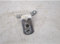 824204P00A Петля двери Nissan Murano 2008-2015 20504883 #1