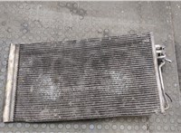  Радиатор кондиционера Mercedes Viano 2003-2014 20505275 #1