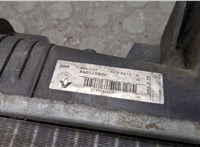214106387r Радиатор охлаждения двигателя Renault Scenic 2009-2012 20505371 #8