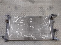  Радиатор охлаждения двигателя Renault Scenic 2009-2012 20505616 #1