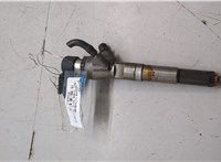 166008052R, 8200704191 Форсунка топливная Dacia Duster 2010-2017 20506018 #1