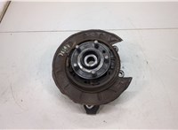 LR001127, LR006963, LR001022 Ступица (кулак, цапфа) Land Rover Freelander 2 2006-2014 20507298 #1
