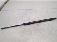 Амортизатор крышки багажника * * 20507876 #1