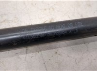 Амортизатор крышки багажника * * 20507876 #2