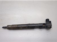 68072174AA, EMBR00002D Форсунка топливная Jeep Compass 2011-2016 20508399 #1