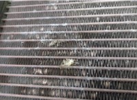 17117586544, 7586544, 17117586543, 7586543 Радиатор масляный BMW X6 E71 2007-2014 20509009 #2