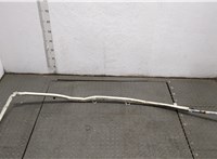  Подушка безопасности боковая (шторка) Audi A8 (D3) 2002-2010 20509600 #1