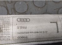 Подушка безопасности боковая (шторка) Audi A8 (D3) 2002-2010 20509600 #3
