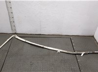  Подушка безопасности боковая (шторка) Audi A8 (D3) 2002-2010 20509600 #4