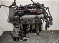 036100098LX Двигатель (ДВС) Volkswagen Golf Plus 20509690 #18