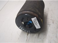 37126750356 Пневмоподушка BMW X5 E53 2000-2006 20510105 #10