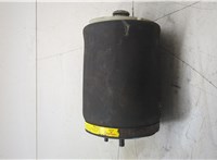 37126750355 Пневмоподушка BMW X5 E53 2000-2006 20510119 #9