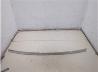 7217156 Накладка крышки багажника (двери) BMW 7 F01 2008-2015 20510125 #1