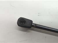 4L0827552F Амортизатор крышки багажника Audi Q7 2005-2015 20510140 #2
