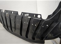  Защита моторного отсека (картера ДВС) Ford C-Max 2010-2015 20510234 #1
