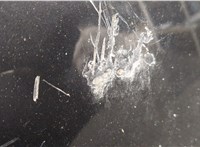 1521601, P8M51A16610AE Капот Ford Focus 2 2008-2011 20510498 #7