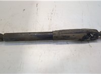  Амортизатор подвески Renault Master 1998-2010 20510596 #1
