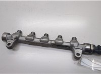 314002A420 Рампа (рейка) топливная Hyundai i40 2011-2019 20510964 #1