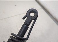  Амортизатор крышки багажника BMW 5 E60 2003-2010 20511017 #2