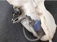 30621342, 30621343 Бачок омывателя Volvo S40 / V40 1995-2004 20511460 #6