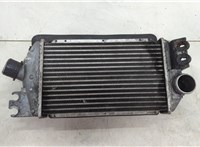  Радиатор интеркулера Suzuki Grand Vitara 1997-2005 20511508 #1