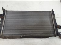  Радиатор охлаждения двигателя Ford Focus 2 2005-2008 20511578 #1