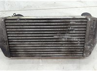 281904X900 Радиатор интеркулера KIA Carnival 2006-2014 20511671 #1