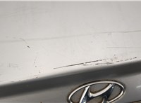  Накладка крышки багажника (двери) Hyundai Sonata 5 2001-2005 11451053 #5