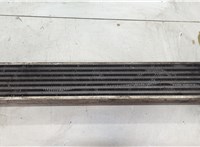 A1695000900 Радиатор интеркулера Mercedes B W245 2005-2011 20512831 #2
