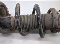1935919, ME6C1J18K045AA, 1504814, 6C115310HE Амортизатор подвески Ford Transit 2006-2014 20513809 #3